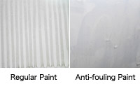 Additives for Anti-fouling Paints