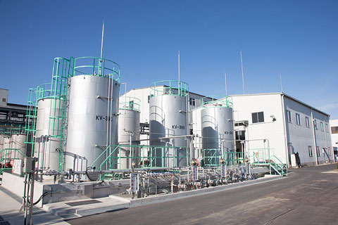 Watariyanagi Plant